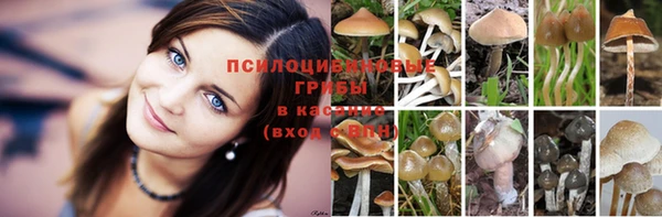 бутират Абинск