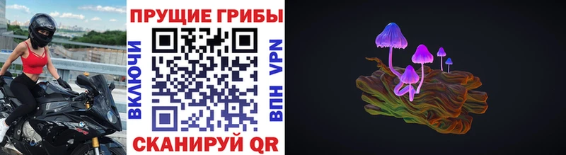 KRAKEN онион  Красновишерск  Псилоцибиновые грибы ЛСД 